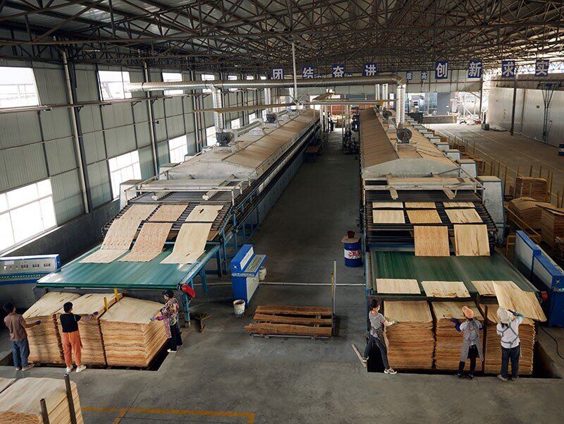 Good quality veneer drying machine