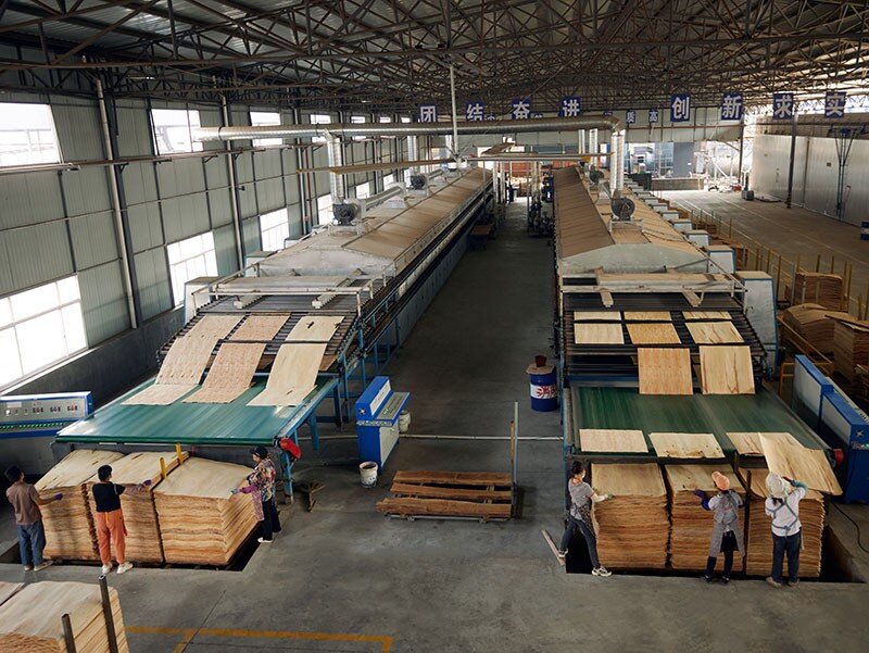 2-deck Efficient Wood Veneer Drying Machine